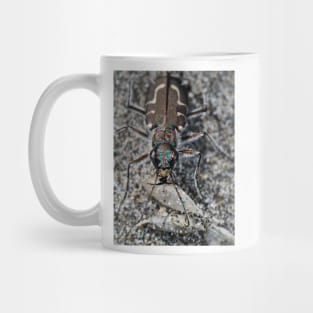 Hairy-necked tiger beetle Mug